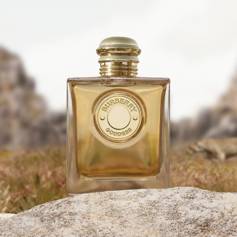 burberry goddess eau de parfum
