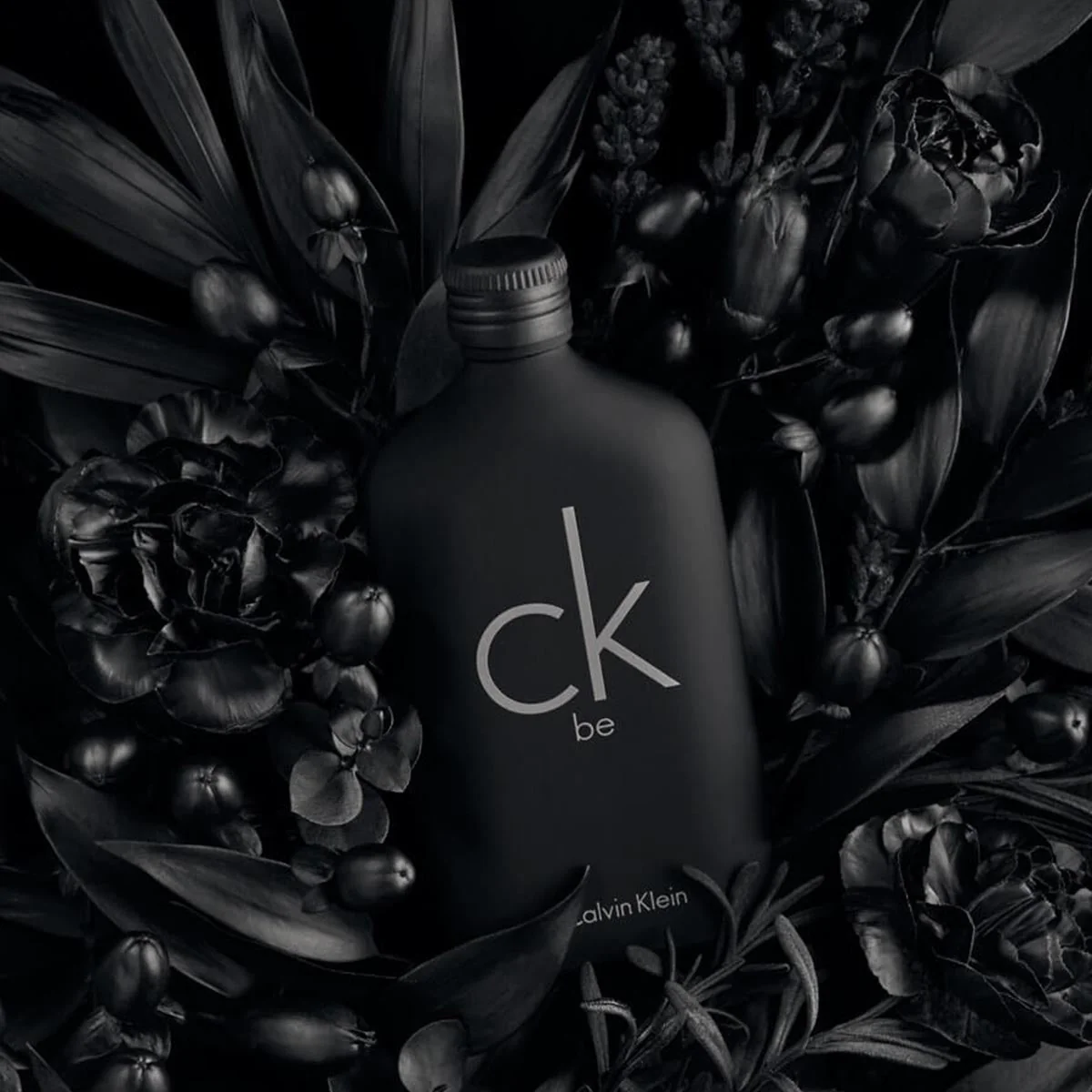CALVIN KLEIN